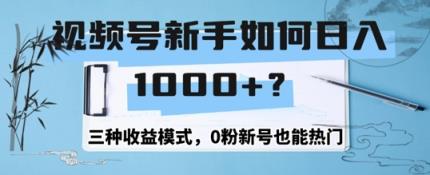 微信视频号新手怎么日入1k？三种盈利方式，0粉小号也可以受欢迎-天天有课网