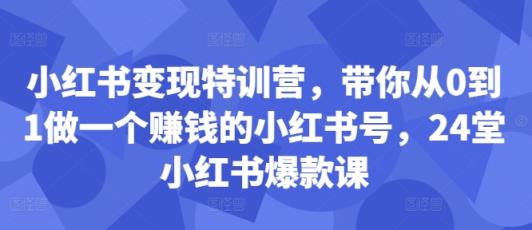 小红书的转现夏令营，陪你从0到1做一个挣钱的小红书号，24堂小红书爆款课-天天有课网