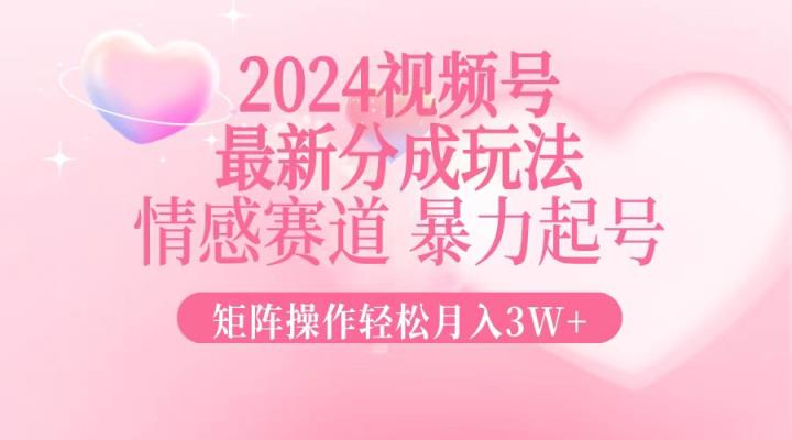 2024新视频号分为游戏玩法，情绪跑道，暴力行为养号，引流矩阵实际操作轻轻松松月入3W-天天有课网