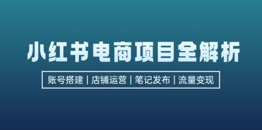 小红书电商新项目全面解析，包含账户构建、店铺管理、手记公布  完成数据流量变现-天天有课网