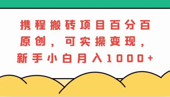 携程网搬砖项目，百分之百原创设计，可实际操作转现，新手入门月入1000-天天有课网