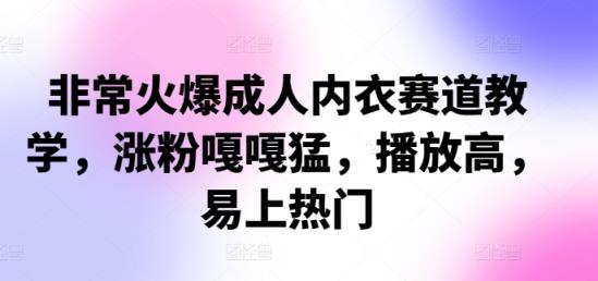 非常火爆成人内衣赛道教学，​涨粉嘎嘎猛，播放高，易上热门-天天有课网