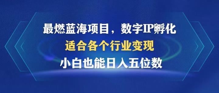 超燃蓝海项目  数据IP卵化  适合各个领域转现  新手也可以日入5个数-天天有课网