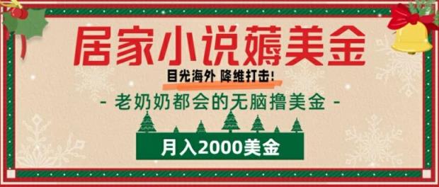 居家生活小说集薅美元，拆卸国外撸美元新项目月入2000美金详尽具体指导-天天有课网