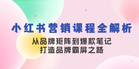 小红书营销课程内容全面解析，从品牌布局到爆品手记，塑造品牌刷屏之途-天天有课网