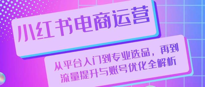 小红书电商运营：从平台入门到专业选品，再到流量提升与账号优化全解析-天天有课网