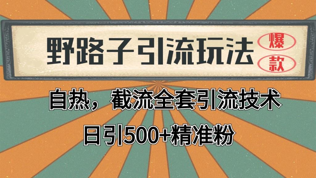 抖音小红书视频号全平台引流打法，全自动引流日引2000+精准客户-天天有课网