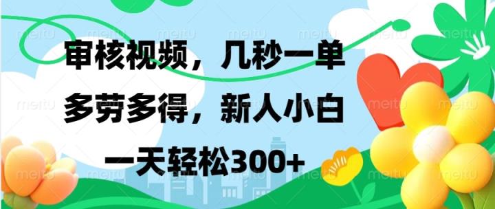 审核视频，几秒一单，多劳多得，新人小白一天轻松300+-天天有课网