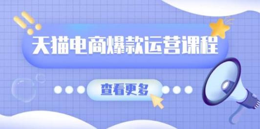 天猫电商爆款运营课程，爆款卖点提炼与流量实操，多套模型全面学习-天天有课网