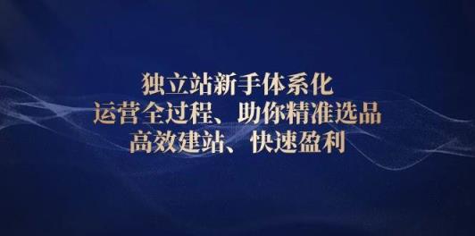 独立站新手体系化 运营全过程，助你精准选品、高效建站、快速盈利-天天有课网
