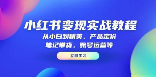小红书变现实战教程：从小白到精英，产品定价，笔记带货，账号运营等-天天有课网