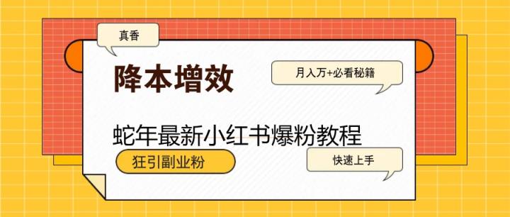 蛇年全新小红书的涨粉实例教程，狂引第二职业粉，月入万 必读-天天有课网